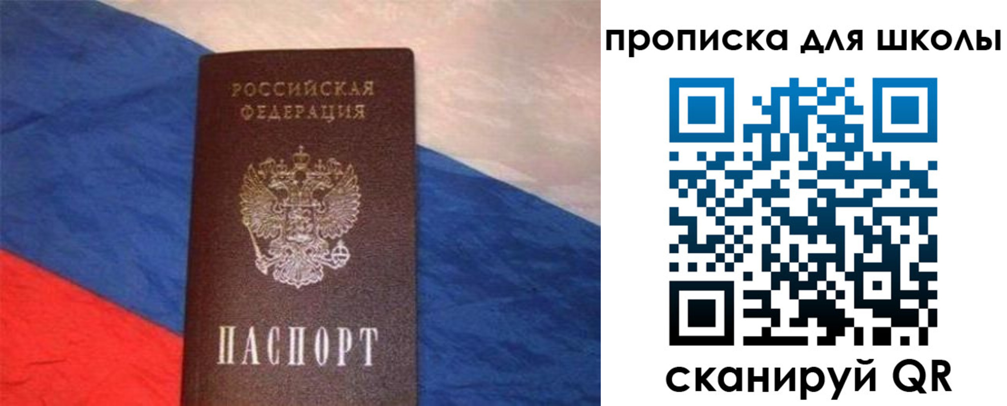 прописка поиск в Ленинградской области